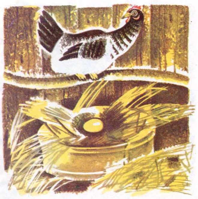 Книжная иллюстрация: пёстрая курица сидит на жерди, внизу в соломенном гнезде лежит золотое яйцо